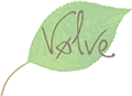 voelve_logo_120