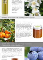 Go Travelling Nr 10, Oktober 2014